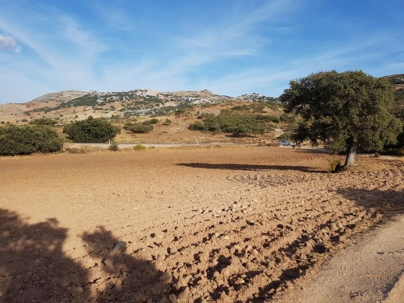 Rural property in Ronda in Ronda