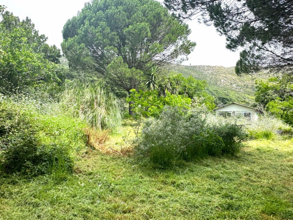 Plot in El Cuartón Alto, Tarifa in Tarifa