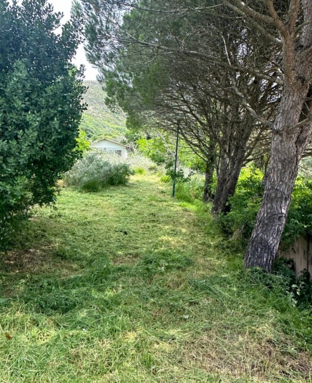 Plot in El Cuartón Alto, Tarifa in Tarifa
