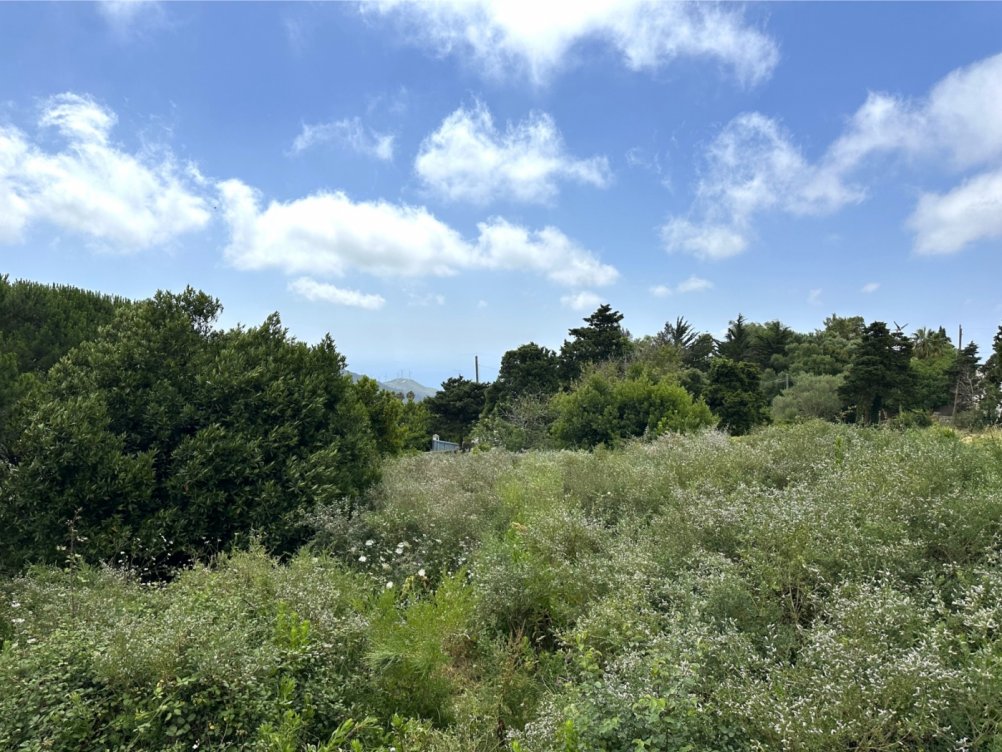 Plot in El Cuartón Alto, Tarifa in Tarifa