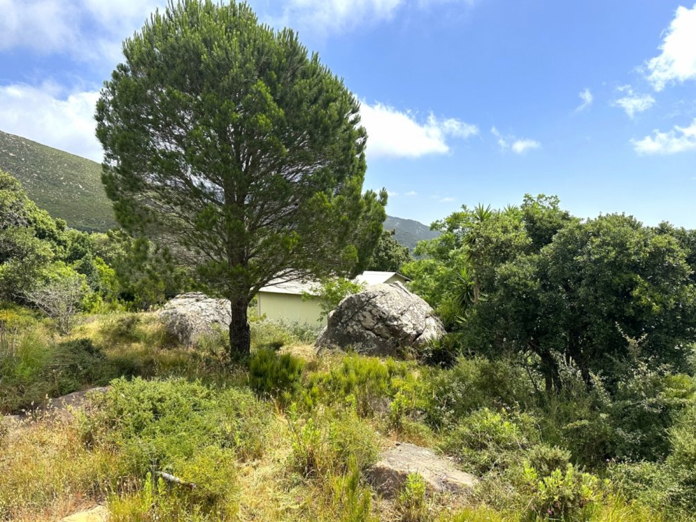 Plot in El Cuartón Alto, Tarifa in Tarifa