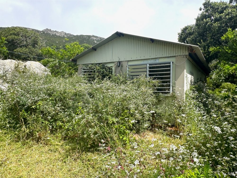 Plot in El Cuartón Alto, Tarifa in Tarifa