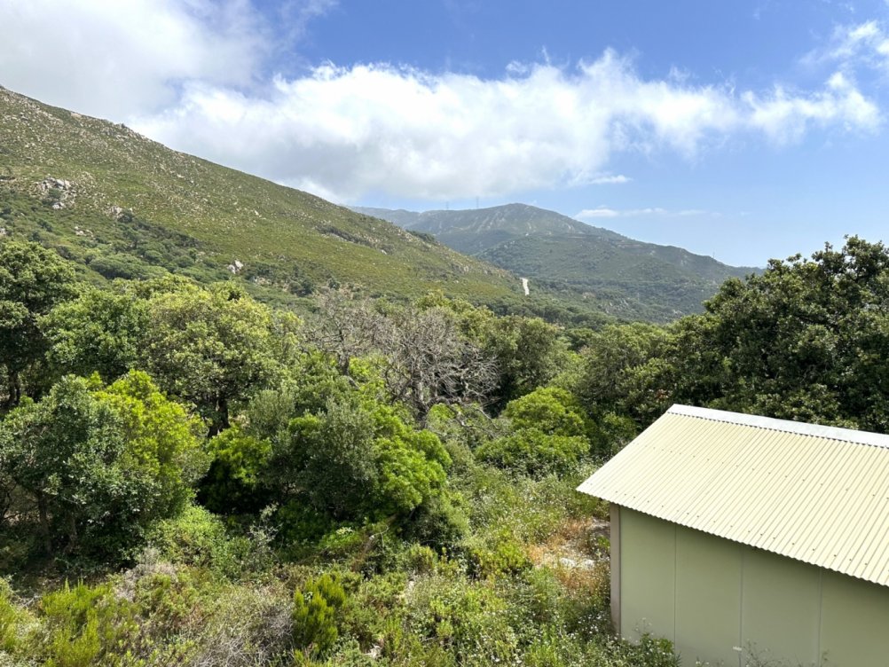 Plot in El Cuartón Alto, Tarifa in Tarifa