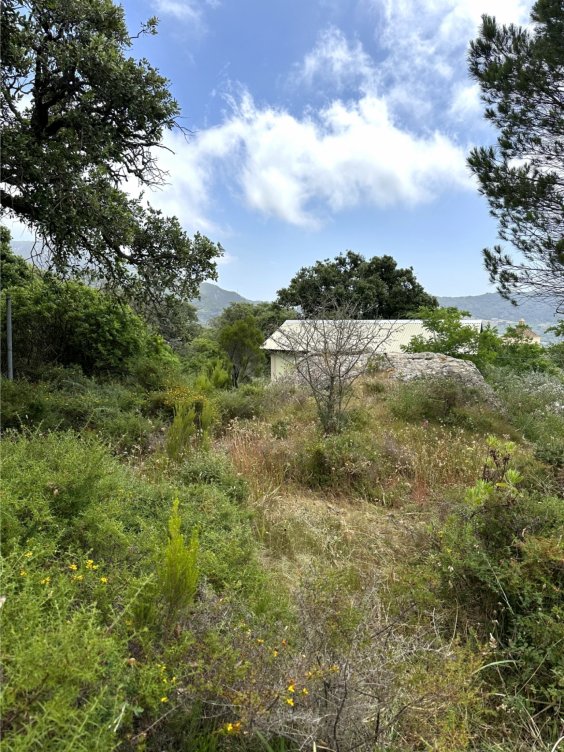 Plot in El Cuartón Alto, Tarifa in Tarifa