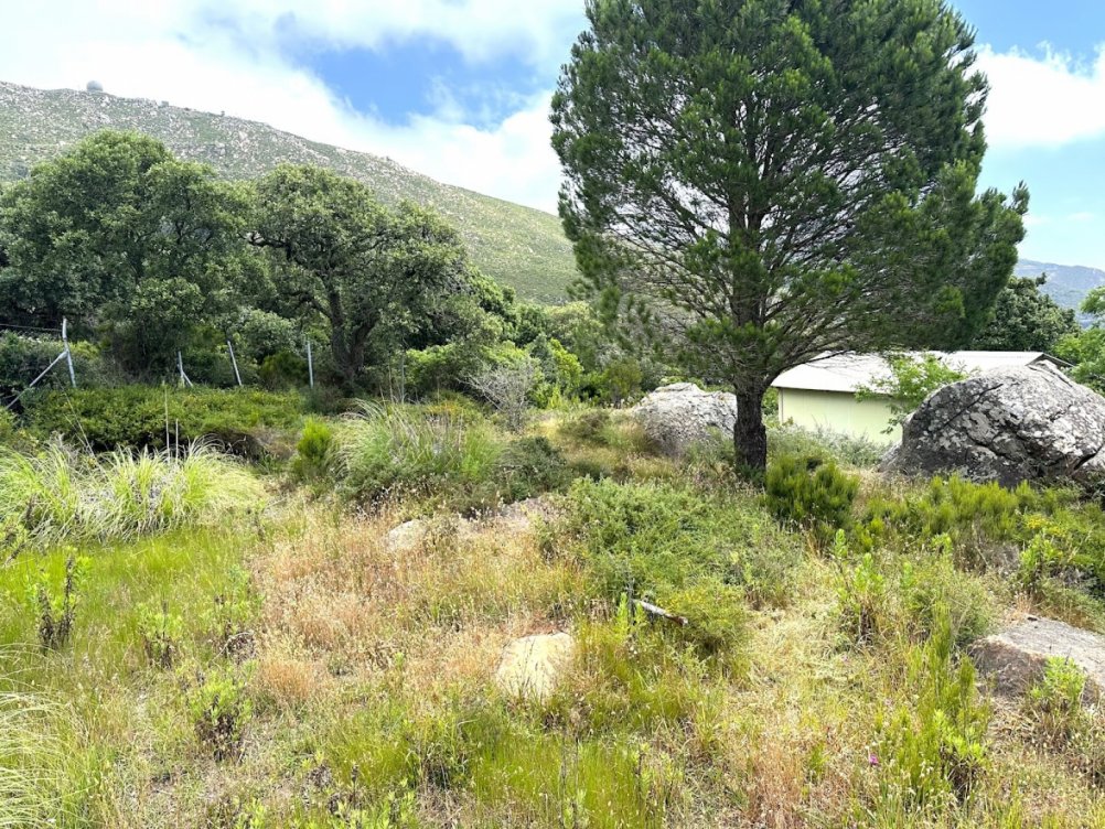 Plot in El Cuartón Alto, Tarifa in Tarifa